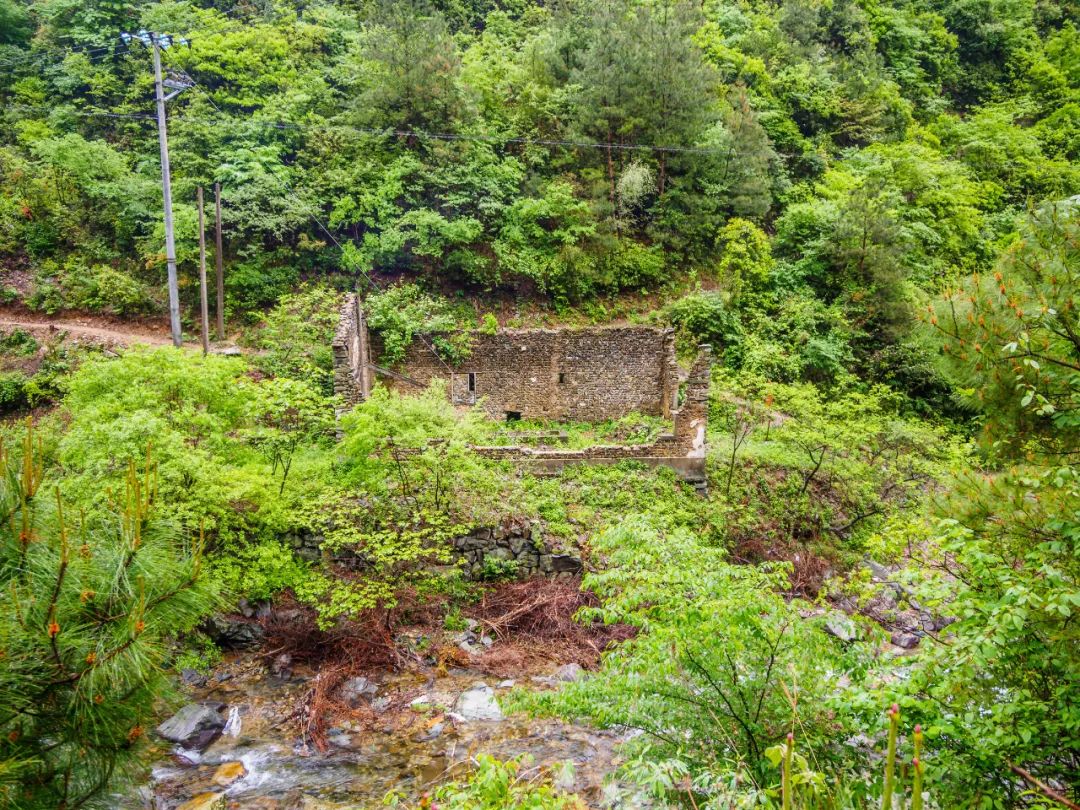 浙江这6个藏在大山深处的世外桃源，才是真正私藏的避世美景！插图1