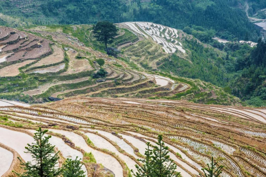 浙江这6个藏在大山深处的世外桃源，才是真正私藏的避世美景！插图6