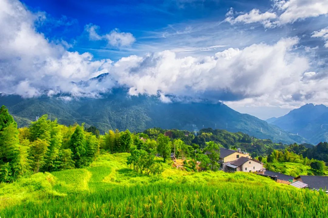 浙江这6个藏在大山深处的世外桃源，才是真正私藏的避世美景！插图