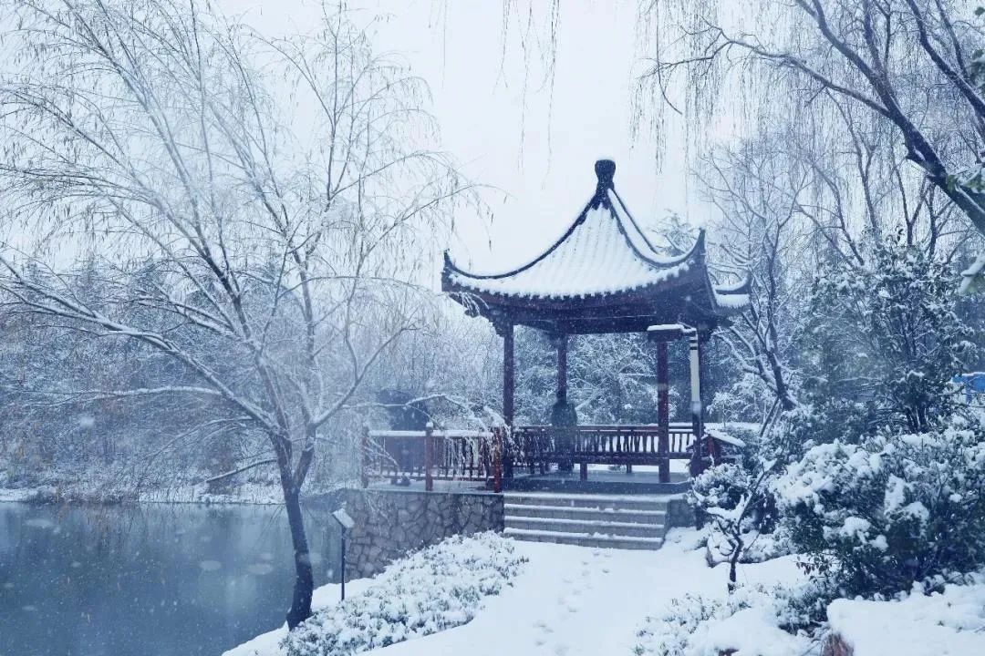 南京中医药大学地址_南京邮电大学研究生院地址_南京柯菲平医药地址