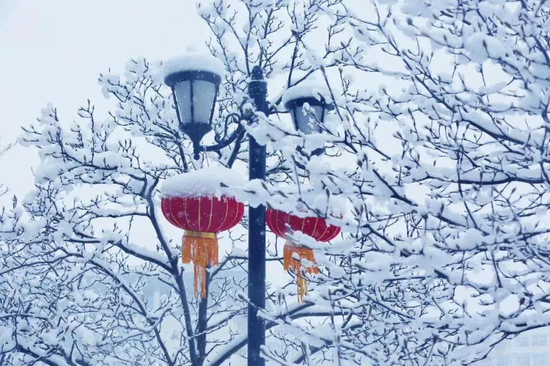 南京郵電大學研究生院地址_南京柯菲平醫藥地址_南京中醫藥大學地址