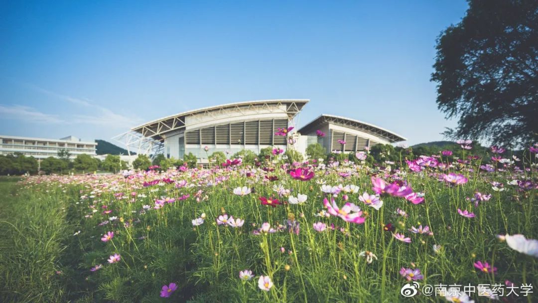 南京郵電大學研究生院地址_南京柯菲平醫藥地址_南京中醫藥大學地址