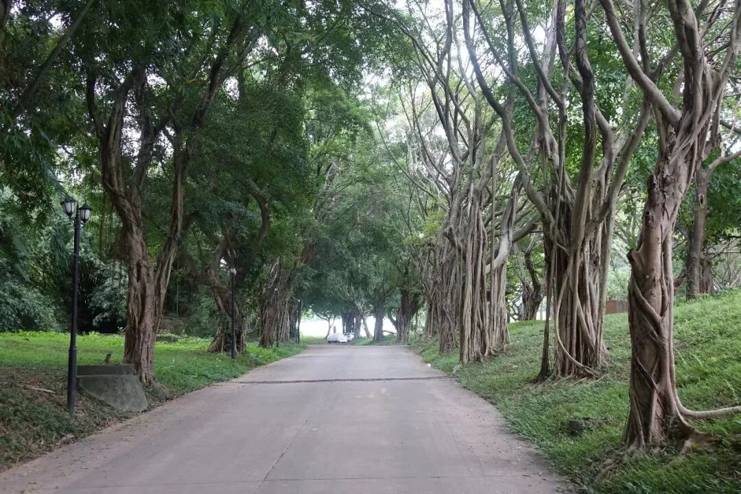 世界大观项目规划流出，将打造140平+板式小高层！