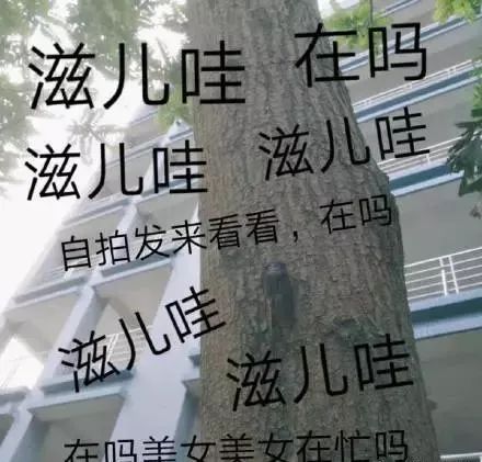 醜的人撩妹需要套路，帥的人只需要套！ 搞笑 第23張