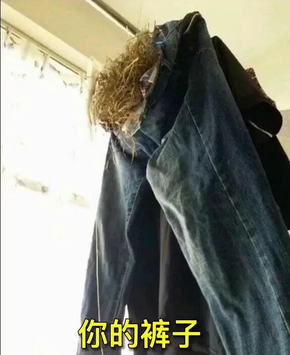 【爆笑】8个月没回学校，宿舍竟然长出了成熟的辣椒！而且还是在卫生间...（组图） - 8