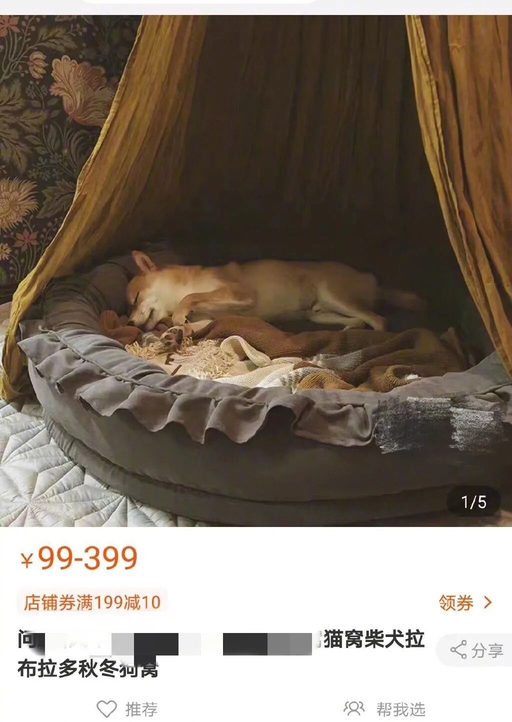 【爆笑】看了我家狗子的暗示，我怀疑对象做了什么对不起我的事.......（组图） - 6