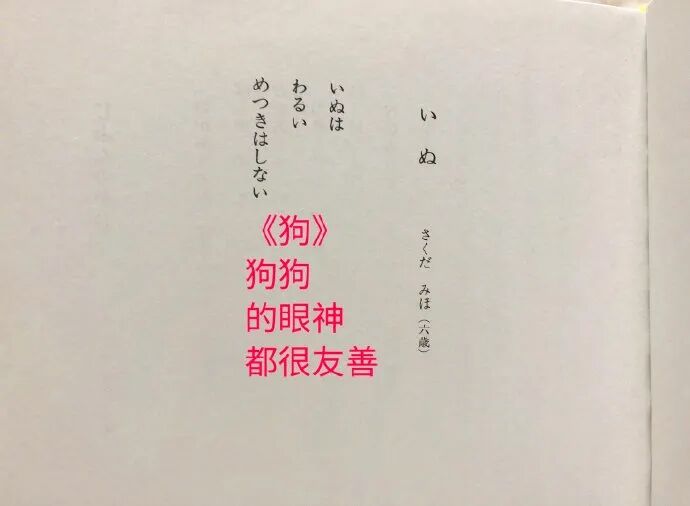 【爆笑】看了我家狗子的暗示，我怀疑对象做了什么对不起我的事.......（组图） - 18