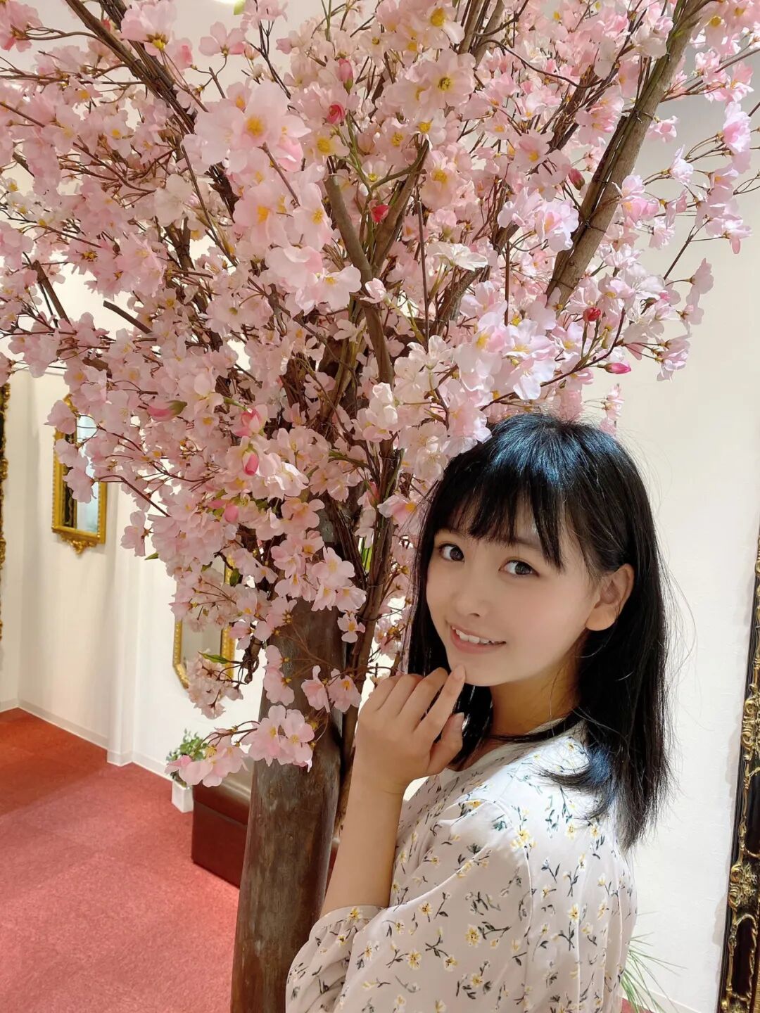 指原莉乃 自由微信 Freewechat