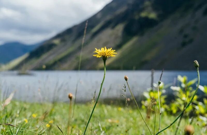 英国春游打卡！7个绝美小众旅游圣地！
