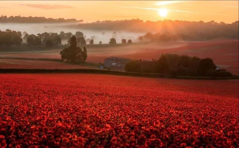 英国春游打卡！7个绝美小众旅游圣地！