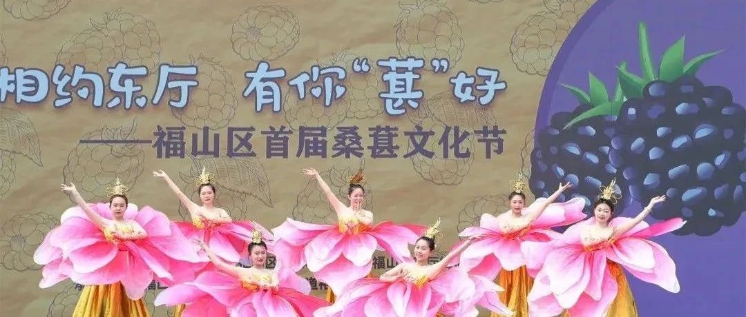 有你“葚”好，福山区首届桑葚文化节火热来袭！