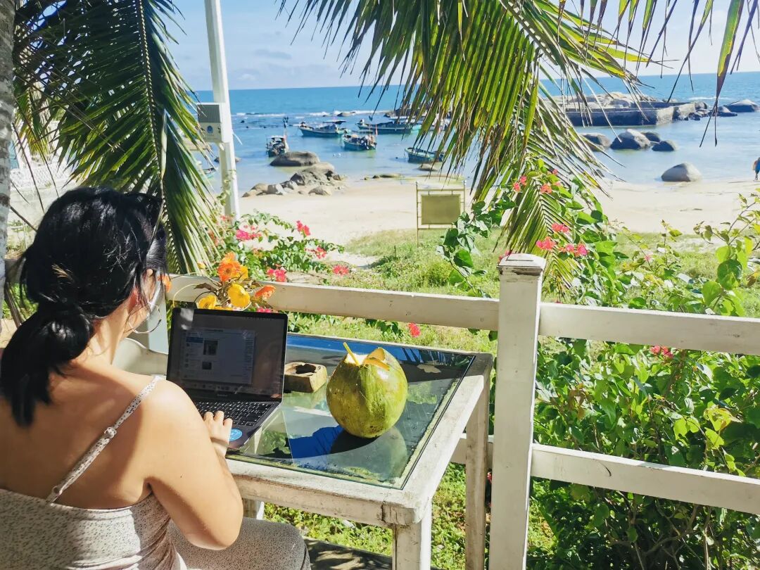 夏日，一起去海边椰林办公｜数字游民海南共居快闪招募