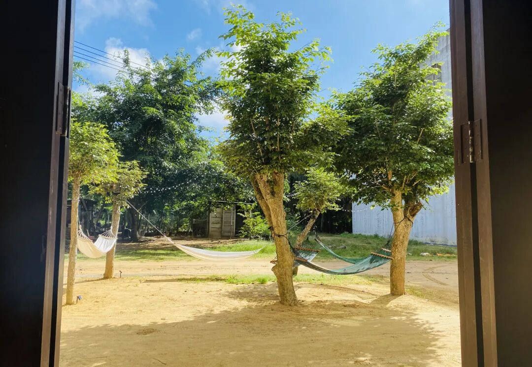 夏日，一起去海边椰林办公｜数字游民海南共居快闪招募