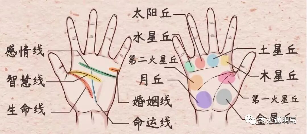 手相透露了富贵贫贱、夭寿吉凶，婚姻感情 ！