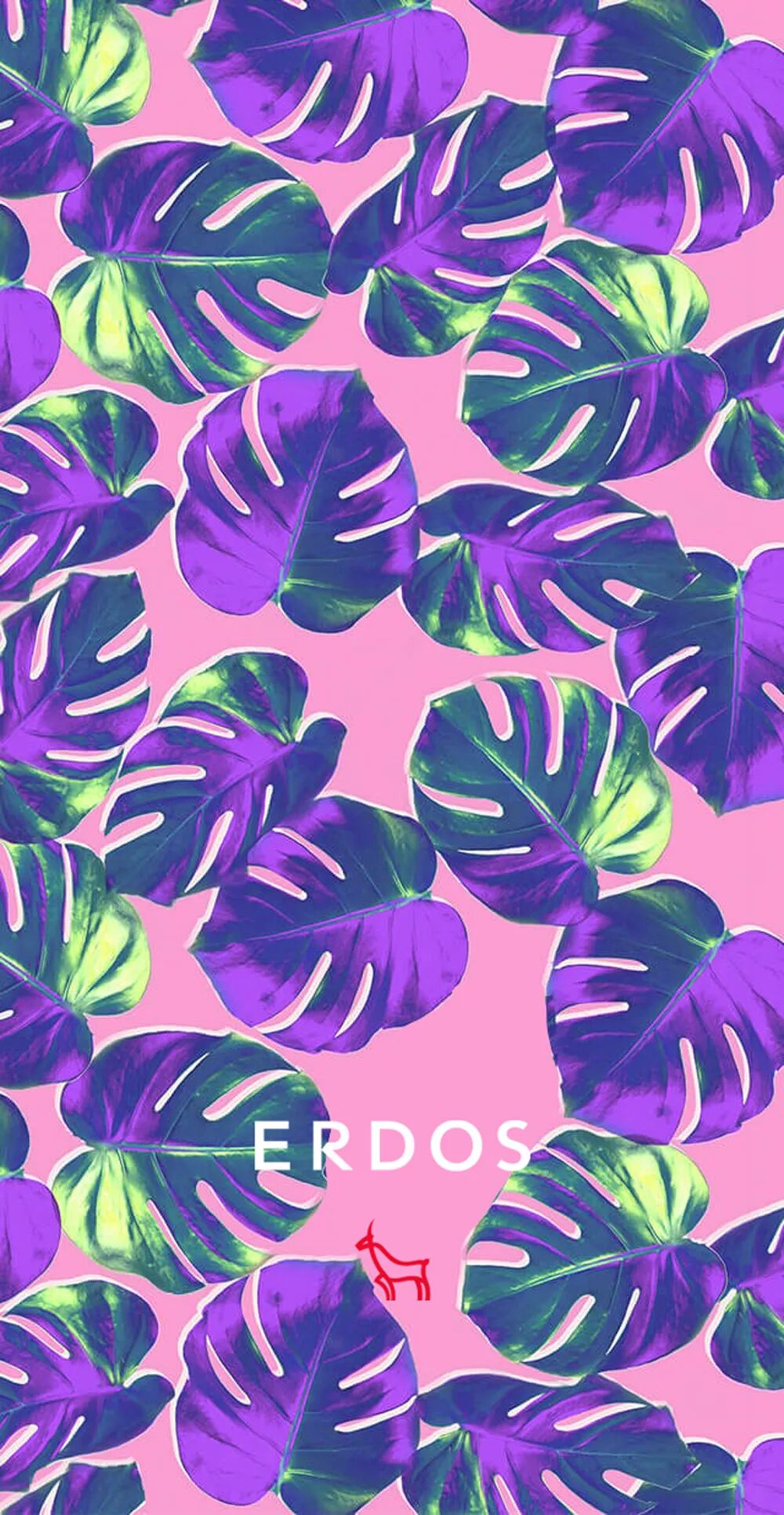 阔叶植物带着热带独有的热烈,在重影和荧光粉色的排布下构成充满艺术