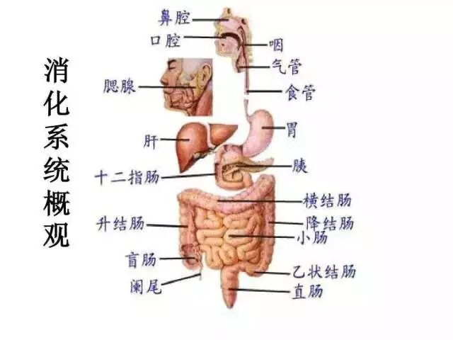 医讯怎么用【三氧医讯】2022三氧疗法在临床中的妙用_https://www.jmylbn.com_新闻资讯_第4张