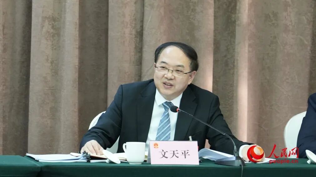 自治区人大代表、吐鲁番市委书记文天平。人民网 李龙摄