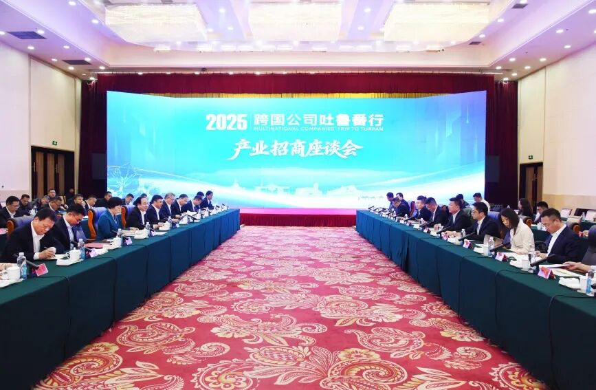 “2025跨国公司吐鲁番行”产业招商座谈会。刘健摄