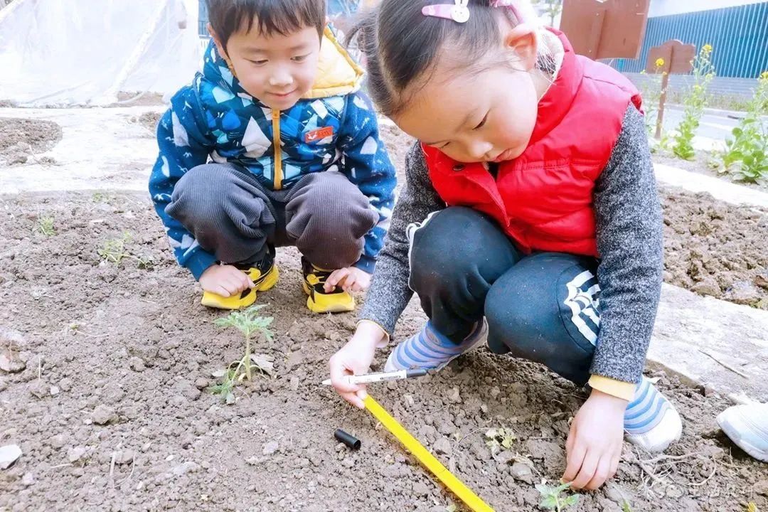 简短心得大全幼儿_幼儿经验心得_心得经验幼儿园怎么写