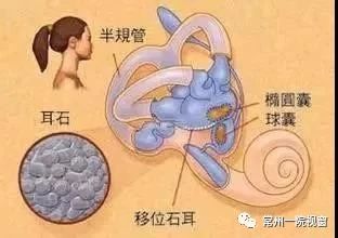 阿姨|【神奇】那种天旋地转的感觉又来了？可惜这次不是爱情