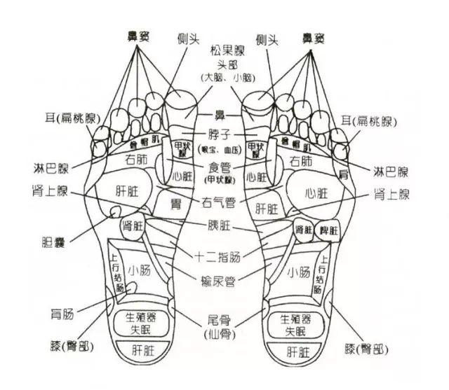 脚底算命图解大全图片