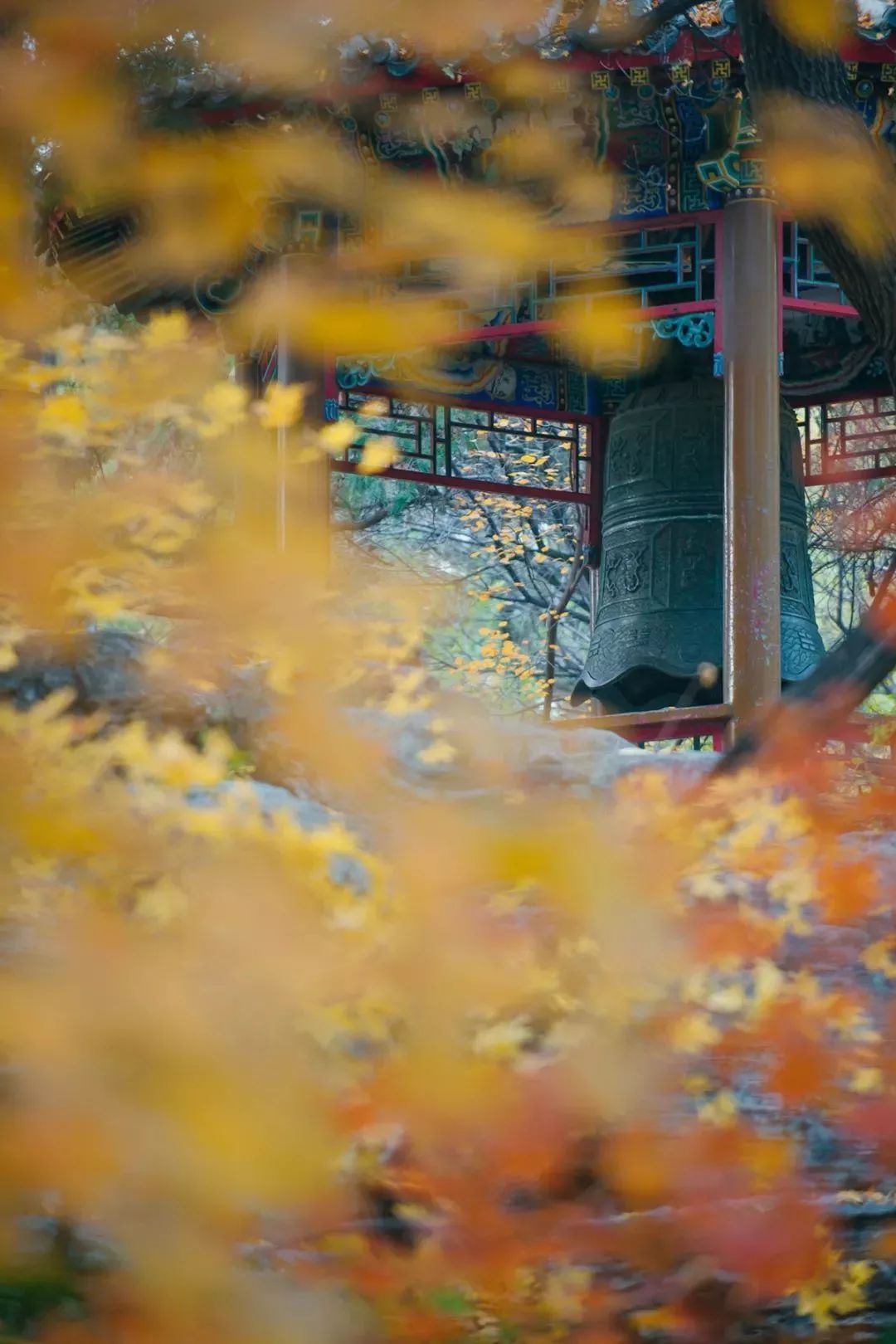 北京大學正門是哪個門_大學的正門一般是_大學的正門為什么都是北門