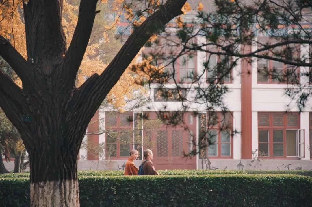 北京大學正門是哪個門_大學的正門一般是_大學的正門為什么都是北門