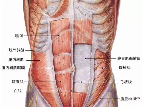 练腹肌别傻练，还要会练！