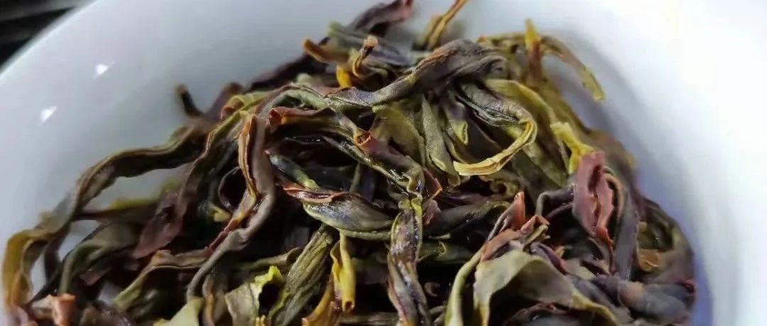 能卖出3万一斤的鸭屎香，凤凰单枞凭什么被称为“茶中香水”？