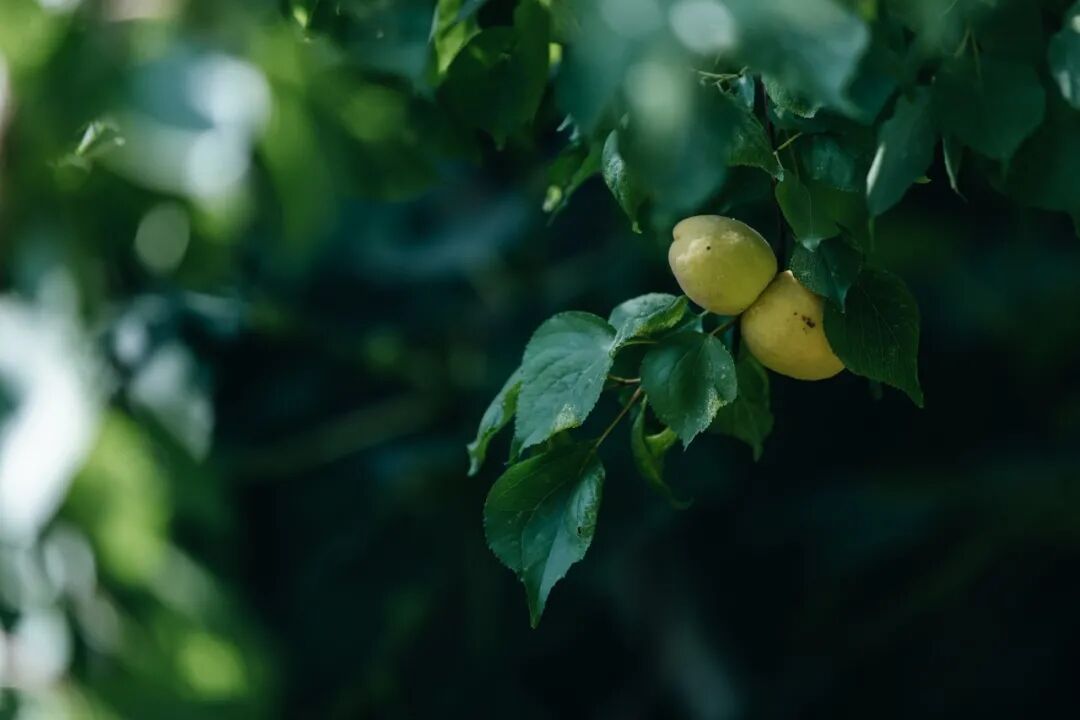 艺术与设计 小满