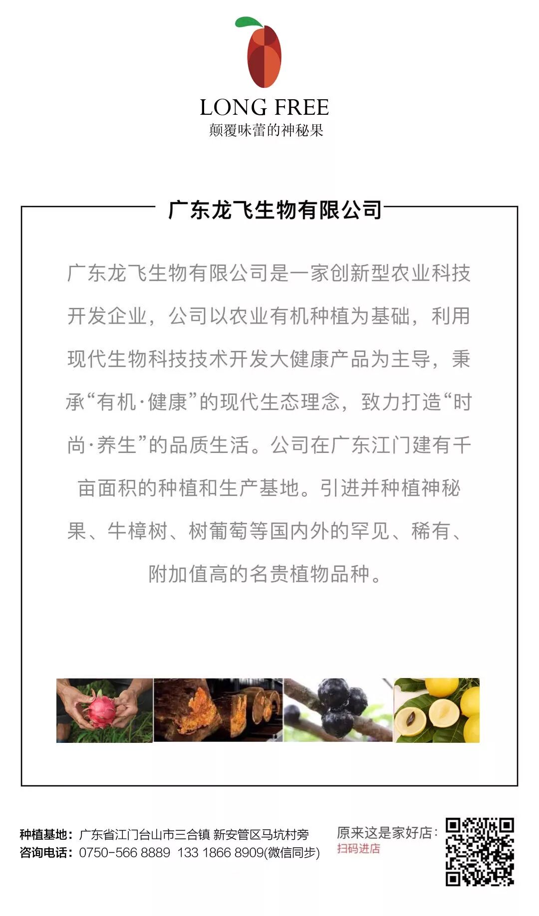 神秘果｜被譽(yù)為“果園中的魔術(shù)師”(圖6)