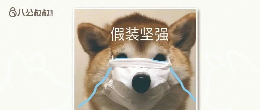 狗狗突发感冒、频繁掉毛、感染疥螨，咋整？​ | 热门问诊白皮书