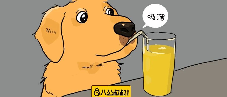 狗狗一天需要喝多少水？这四个知识点必须牢记！