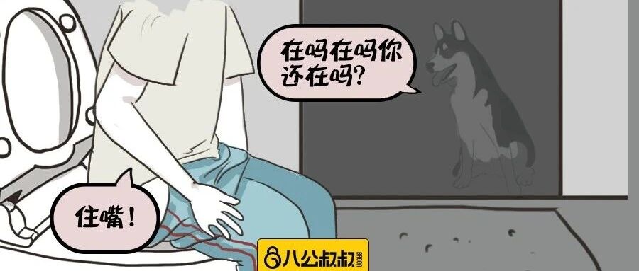狗子们都给铲屎的留点隐私吧！上厕所就别跟着了！