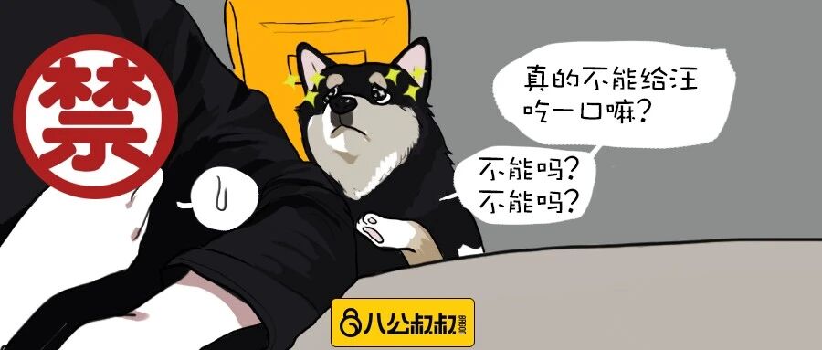 当心！这些食物狗狗虽然爱吃，却存在喂食风险！