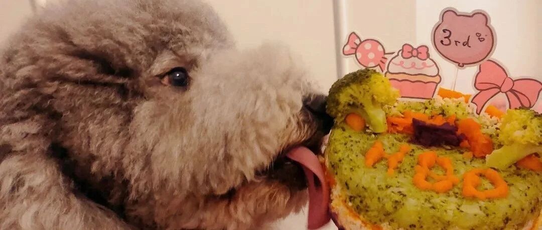 国庆为啥还不放假？我已经开始想念我家狗子了！！！