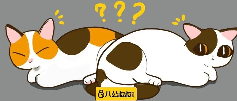 猫咪自带的情绪晴雨表，你还没有学会吗？