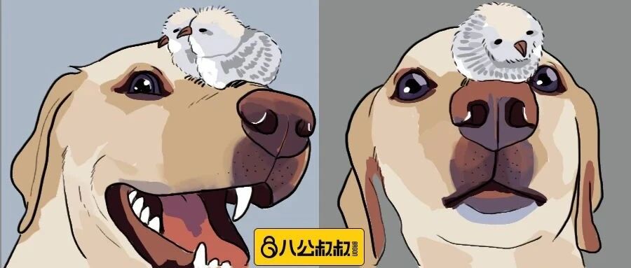 超神奇！一只拉布拉多竟给小鸟当起了“妈妈”……