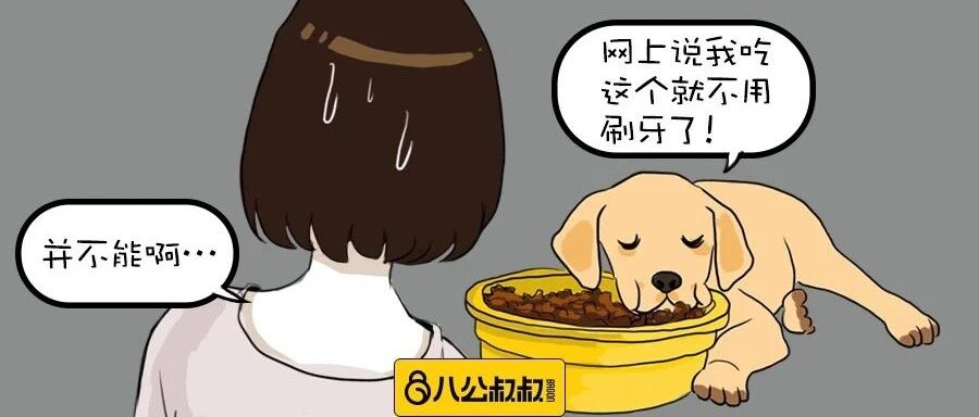 快醒醒！毛孩靠吃干粮就能清洁口腔？这都是错误的！