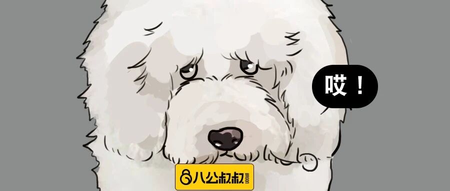 听说养狗曾经逼疯不少人，但这次却是狗子被铲屎的逼疯了！