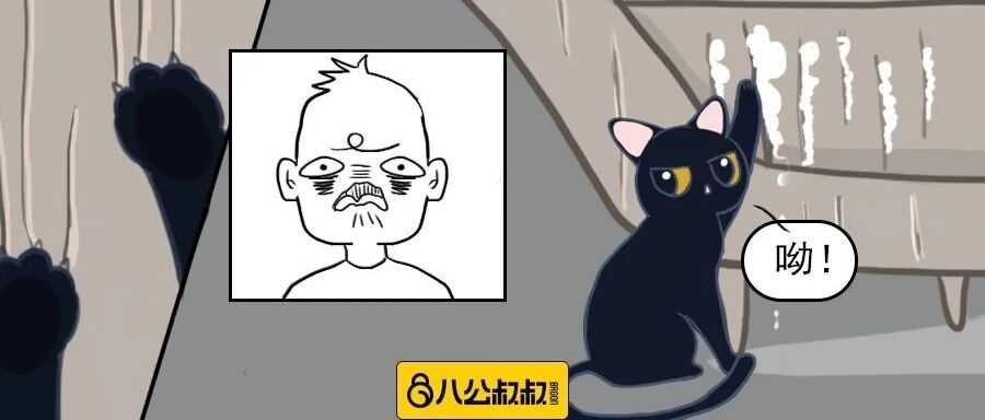 你以为它是无辜小天使，实际上它却是无敌破坏王……