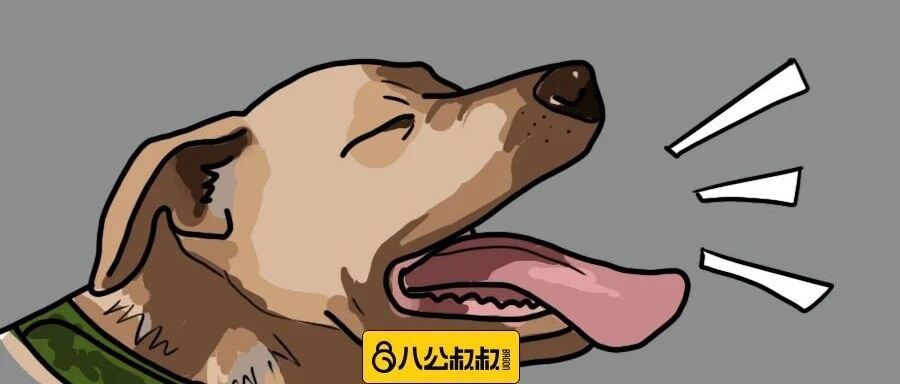 养狗人的日常迷惑，狗狗为什么要对着一片空地叫个不停？