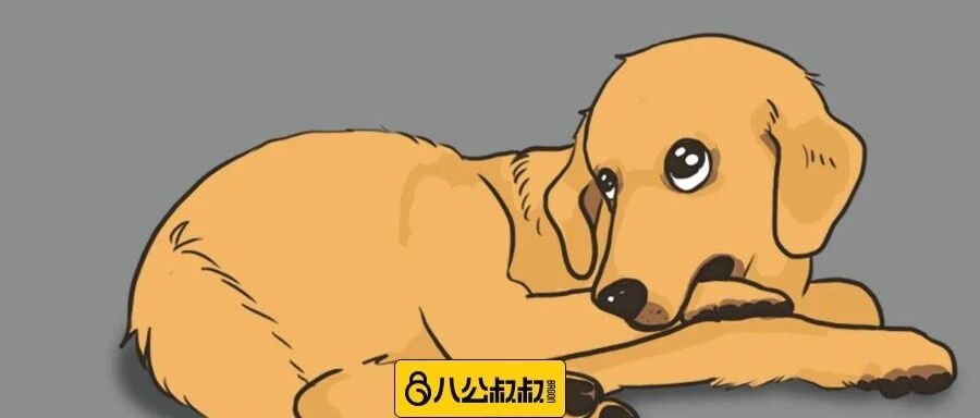 汝之蜜糖彼之砒霜，千万别让它害了家里的狗狗…