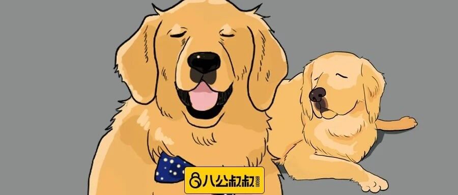 金毛的61个愿望，在全国人民的期盼下一一实现~