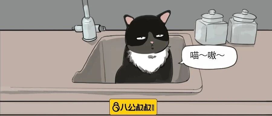 铲屎官足够了解家里的猫主子吗？看看这些秘密你是否知道！