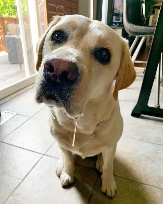 是嘴馋我吃东西吗?_友友