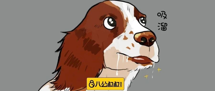 为什么我家狗狗总是喜欢流口水？是嘴馋我吃东西吗？