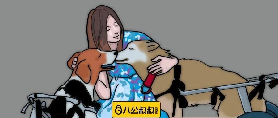 残疾毛孩生活的希望，是她这颗善良的心……