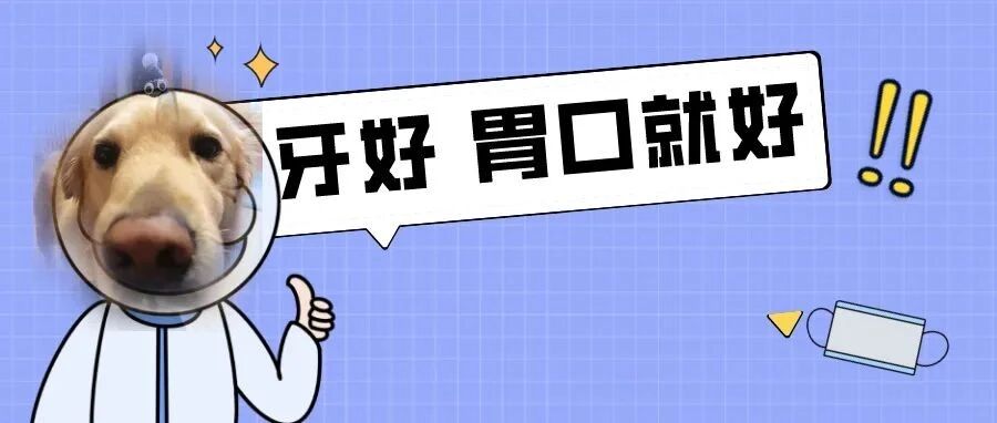 狗狗有这个动作，可能是牙齿在喊救命！