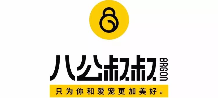 恕我直言！有時候鏟屎官真得跟狗狗保持距離…… 寵物 第1張